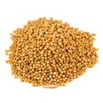 sari-hardal-tohumu-yellow-mustard-seeds-2176